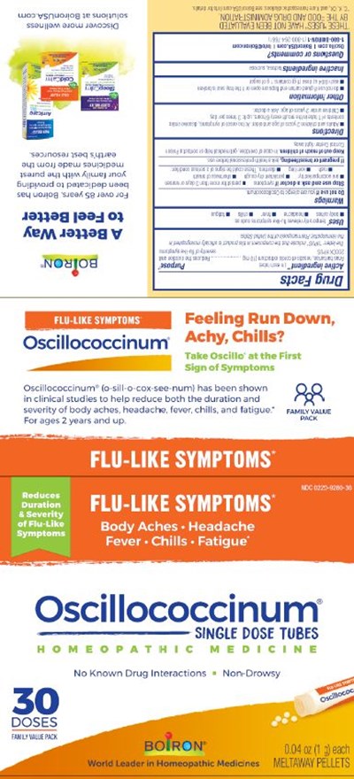 Oscillo 30 Dose Etu.1hc9 02.2022